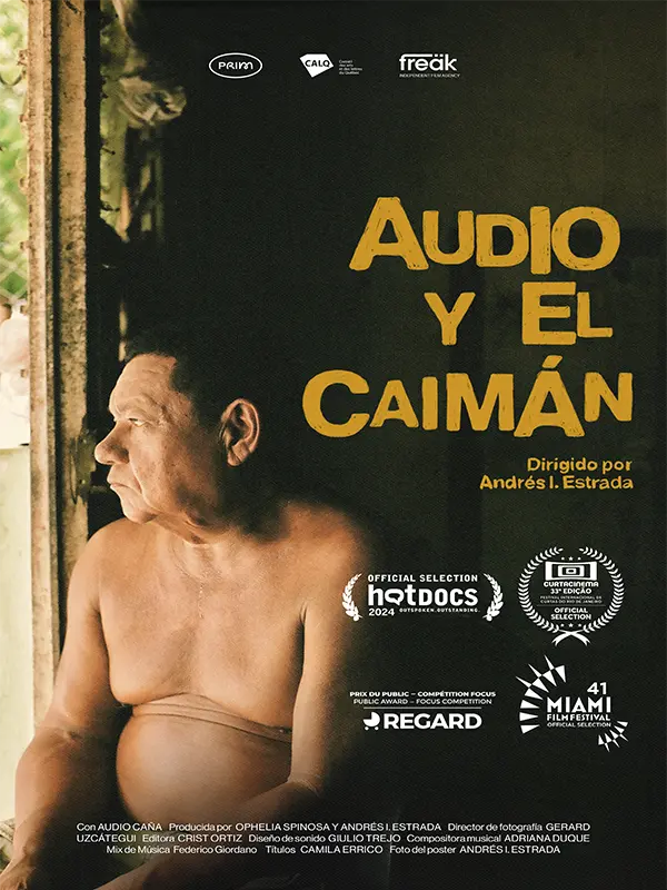Audio y el caimán, selección oficial, programación, por día, 19 DocsMX, 2024