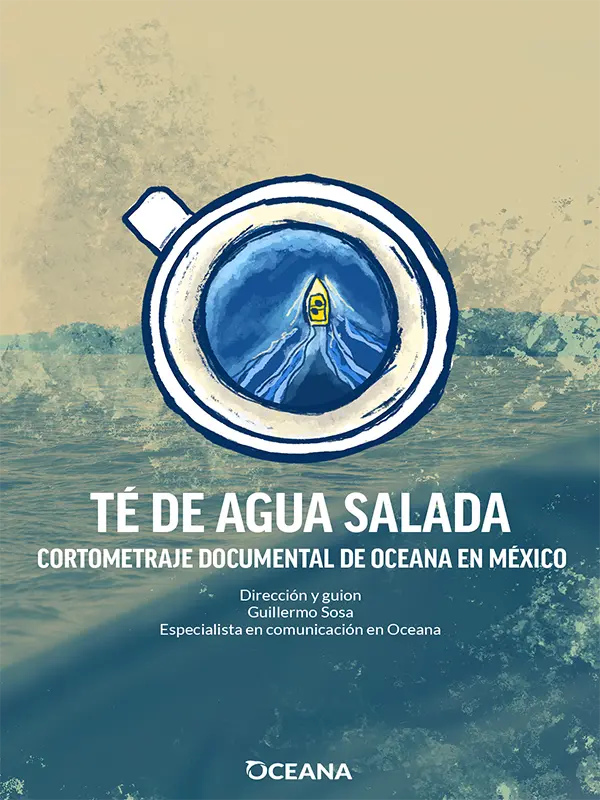 Té de agua salada, selección oficial, programación, por día, 19 DocsMX, 2024
