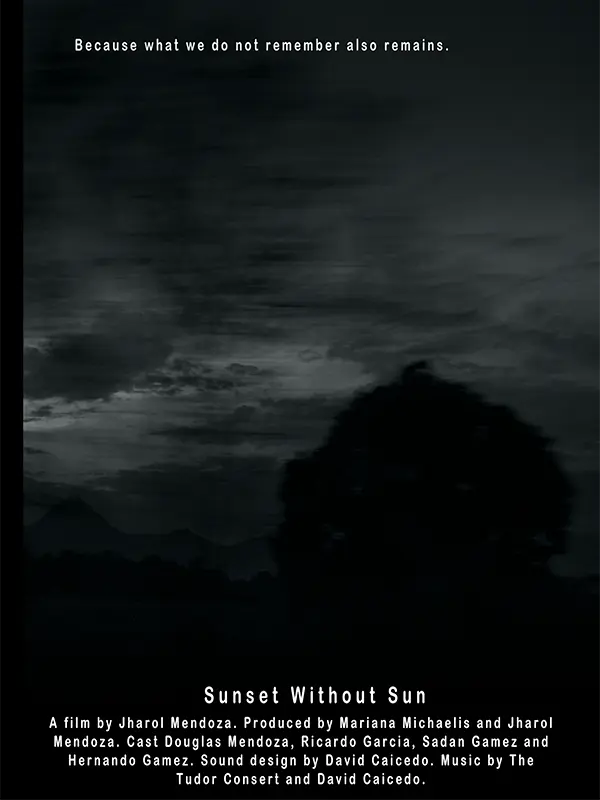 Atardecer sin sol, Jharol Mendoza, Programación, por película, 19 DocsMX, 2024