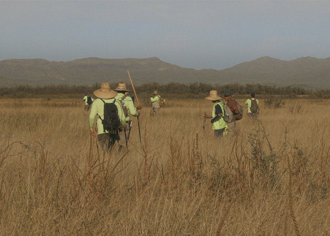 ¿A dónde vamos, coyote?, Jonah Malak, docs talks, 20DocsMx, 2025