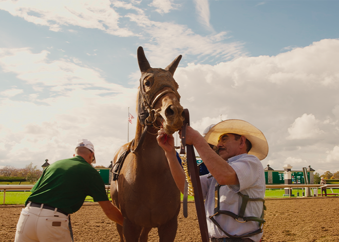 Backside, Raúl O. Paz-Pastrana, global docs, 20DocsMx, 2025