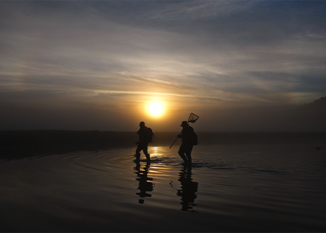 Bätsi. El ajolote y su reflejo, Ernesto Anaya Adalid, hecho en mexico, 20DocsMx, 2025
