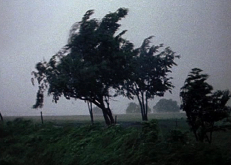 Undo, Jean-Gabriel Périot, Jean-Gabriel Périot, 20DocsMx, 2025