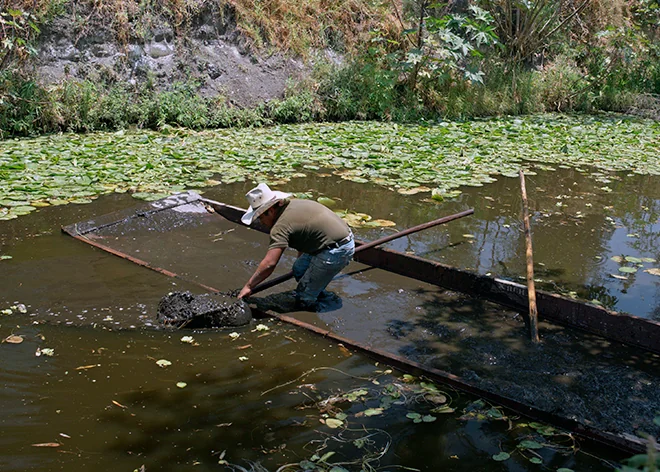 El cerro de polvo y sus veinte alrededores, Grupo Cinema Biocultural, Selección oficial, 21 DocsMX, 2026