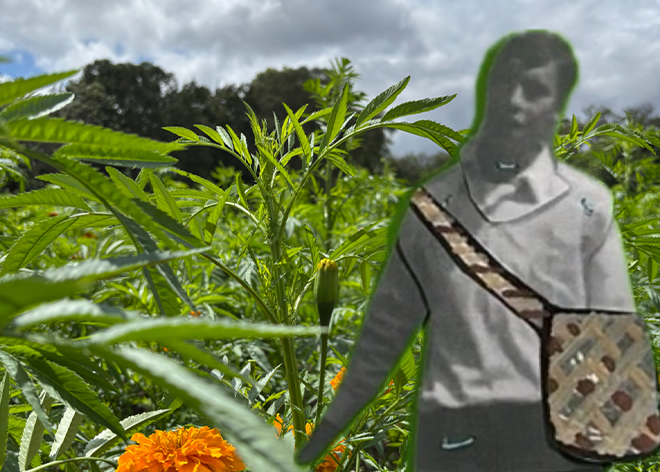 La flor es cuerpo, práctica experimental, Sobre la fiesta y sus políticas del goce, docsmx, 2025