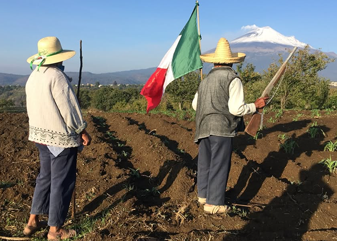 Los sueños que compartimos, Primavera documental, Doctubre presenta, DocsMX, 2026